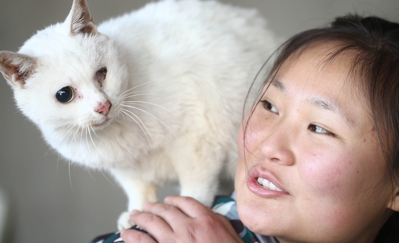 90后女孩為流浪動物搭建愛的