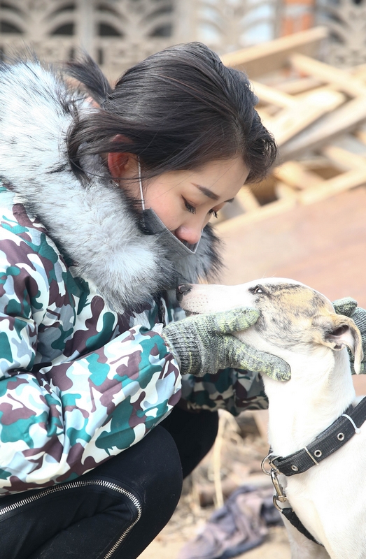 90后女孩為流浪動物搭建愛的