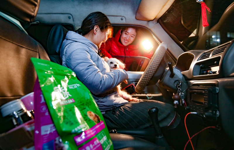 90后女孩為流浪動物搭建愛的