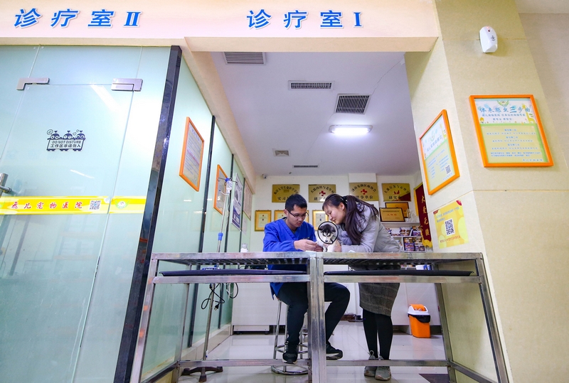 90后女孩為流浪動物搭建愛的