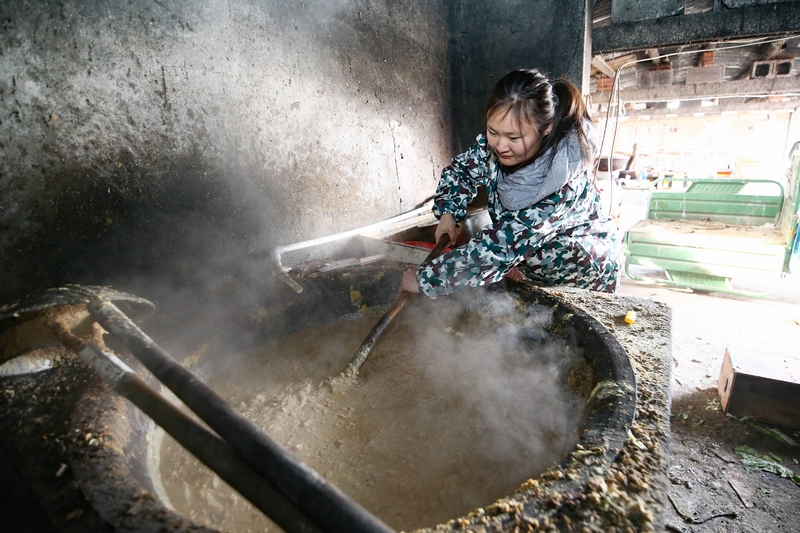 90后女孩為流浪動物搭建愛的