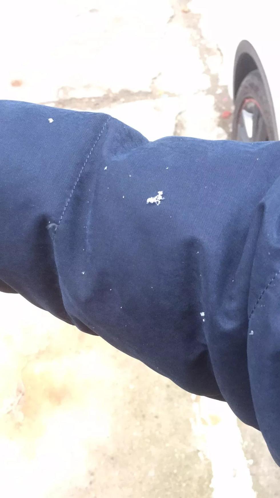 剛剛！南昌下雪啦！明后天還有更大的！江西元旦天氣出爐！