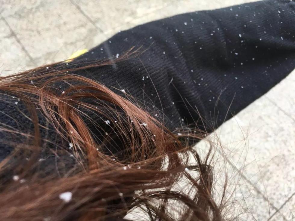 剛剛！南昌下雪啦！明后天還有更大的！江西元旦天氣出爐！