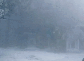 剛剛！南昌下雪啦！明后天還有更大的！江西元旦天氣出爐！