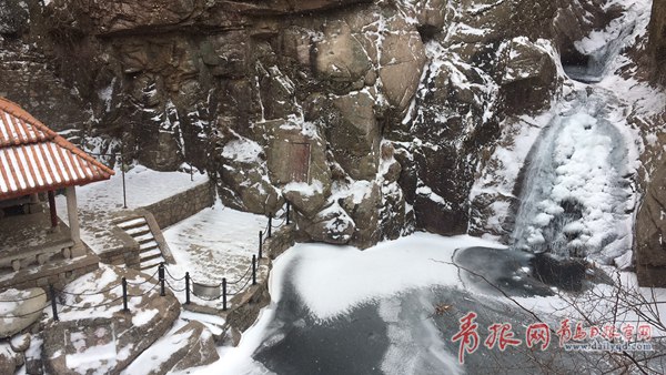 青島今天又下雪啦！最新一波雪景出爐