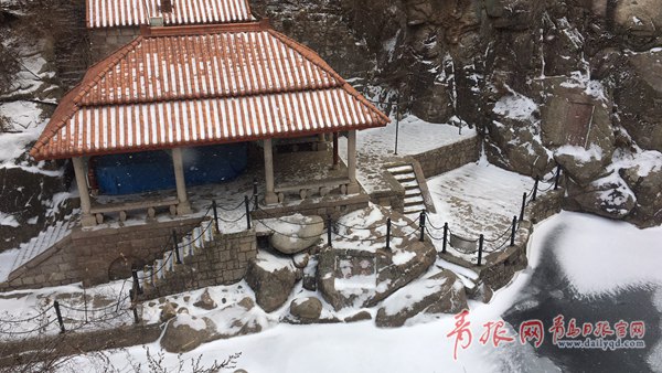 青島今天又下雪啦！最新一波雪景出爐