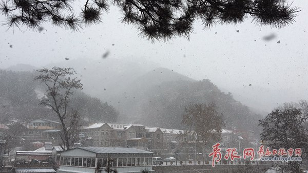 青島今天又下雪啦！最新一波雪景出爐