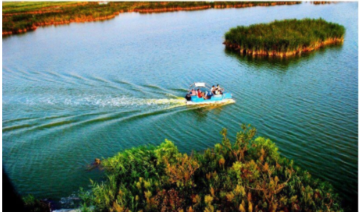 "樂(lè)在萊西 抖音來(lái)襲"大賽啟動(dòng) 引領(lǐng)萊西旅游創(chuàng)新營(yíng)銷新模式