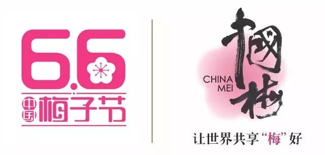 15秒抖音，1.5億次傳播！溜溜梅制造了零食界第一條抖音營銷典范！