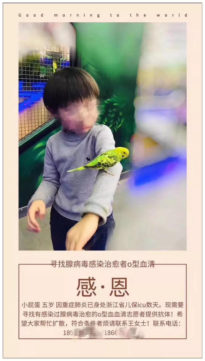 “小屁蛋”急尋救命血清 關(guān)鍵時刻站出來的是位空軍叔叔