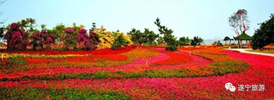 640.webp (11).jpg 640.webp (11).jpg