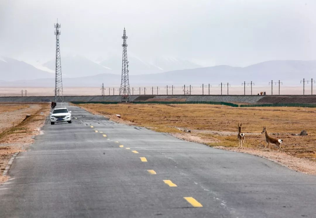 通往西藏之路，有多難？