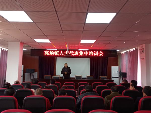 強化職能監(jiān)督 提升履職水平——高場鎮(zhèn)組織人大代表開展視察活動