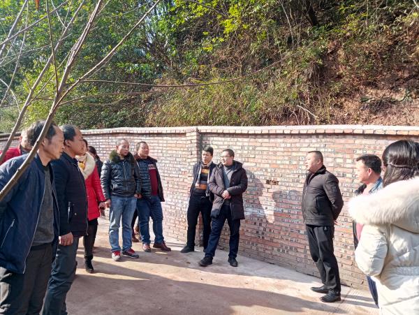 強化職能監(jiān)督 提升履職水平——高場鎮(zhèn)組織人大代表開展視察活動