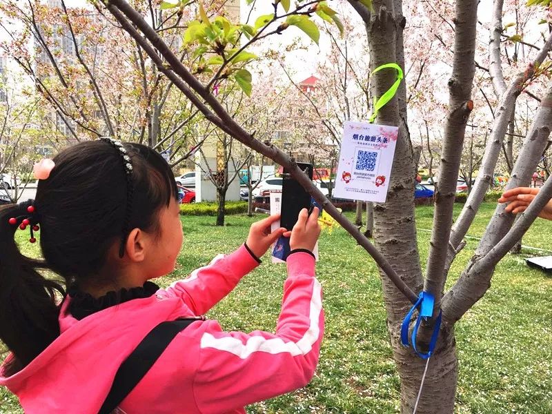 仙境海岸 鮮美煙臺(tái)| 煙臺(tái)旅游網(wǎng)絡(luò)營(yíng)銷獲評(píng)全省年度十佳優(yōu)秀案例