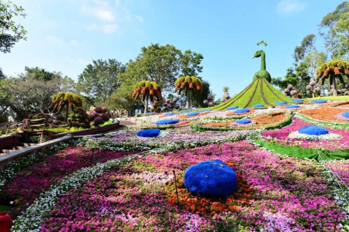 東莞隱賢山莊新年火爆開啟 抖音打卡視頻播放量突破2000萬