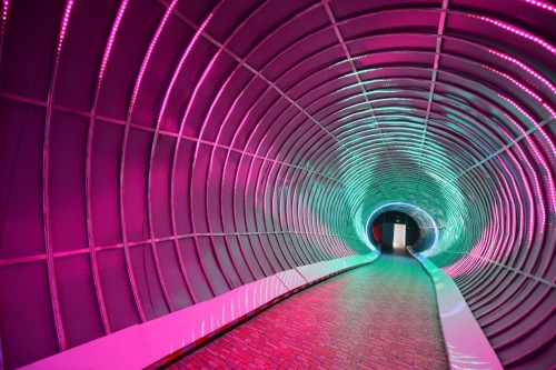 東莞隱賢山莊新年火爆開啟 抖音打卡視頻播放量突破2000萬