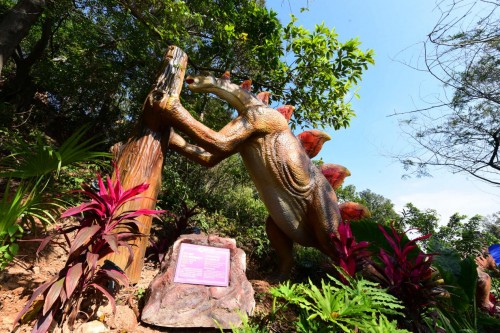 東莞隱賢山莊新年火爆開啟 抖音打卡視頻播放量突破2000萬