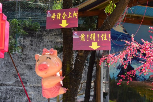 東莞隱賢山莊新年火爆開啟 抖音打卡視頻播放量突破2000萬