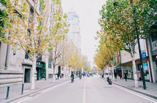 武漢邀請89高校大學生“丈量”最美街道 2019大學生城市街道設計大賽啟動