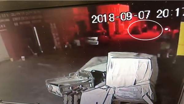 撿狗以盜竊被拘？監(jiān)控視頻公布 男子:不能證明我偷