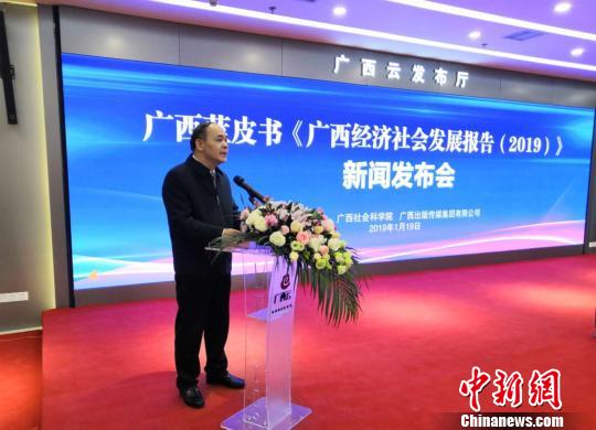 圖為廣西社會科學院院長陳立生介紹《廣西經濟社會發(fā)展報告(2019)》相關情況?！铌?攝