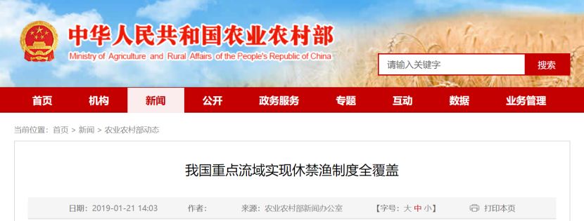 這種7800元/斤的天價美味，以后你可能吃不到了