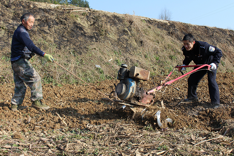 【脫貧攻堅(jiān)在行動】南江百余民警放下“鋼槍”拿鋤頭 下到田間地頭開展主題黨日活動(圖)