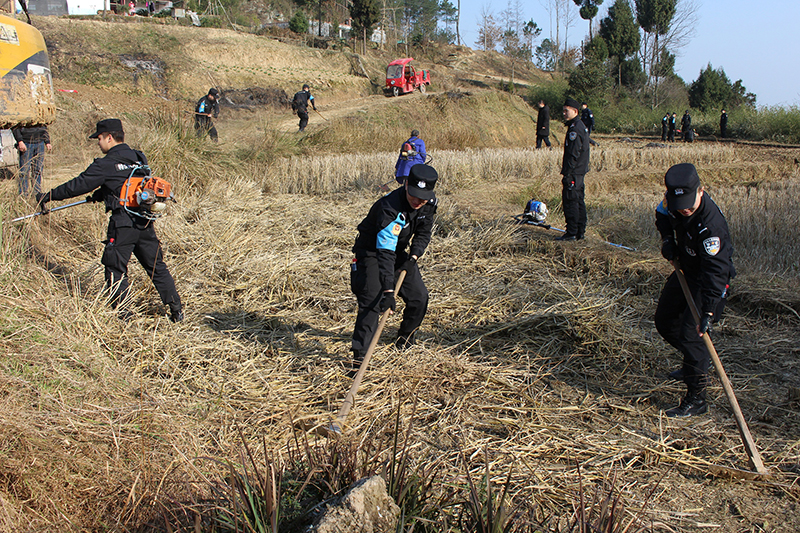 【脫貧攻堅(jiān)在行動】南江百余民警放下“鋼槍”拿鋤頭 下到田間地頭開展主題黨日活動(圖)