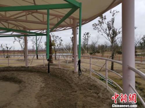 “旋轉(zhuǎn)活馬”設(shè)備 唐娟 攝