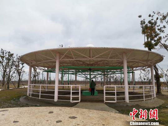 “旋轉(zhuǎn)活馬”設(shè)備 唐娟 攝