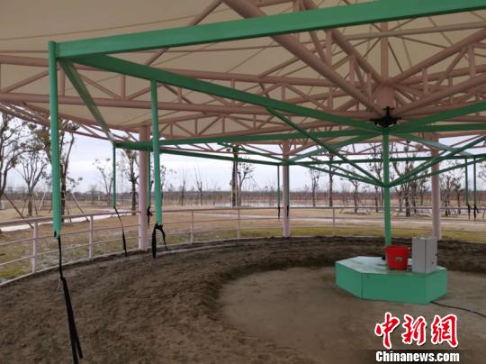 “旋轉(zhuǎn)活馬”設(shè)備 唐娟 攝