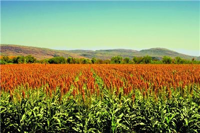 河套酒業(yè)集團2018年度十大新聞