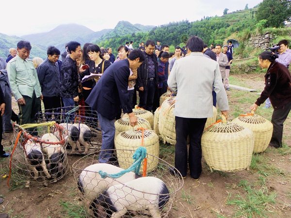 堅(jiān)決打贏十大攻堅(jiān)戰(zhàn)|民生實(shí)事攻堅(jiān)篇 精準(zhǔn)發(fā)力解民憂 全力攻堅(jiān)惠民生