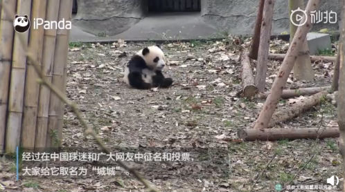 【18點(diǎn)見】河北張家口致24死爆燃事故調(diào)查報告發(fā)布：化工公司瞞報