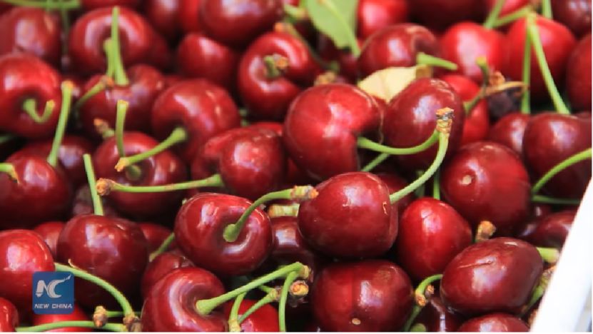 一顆賣6元，月薪上萬也吃不起車厘子？網友哭窮，這個小國卻笑著數(shù)錢