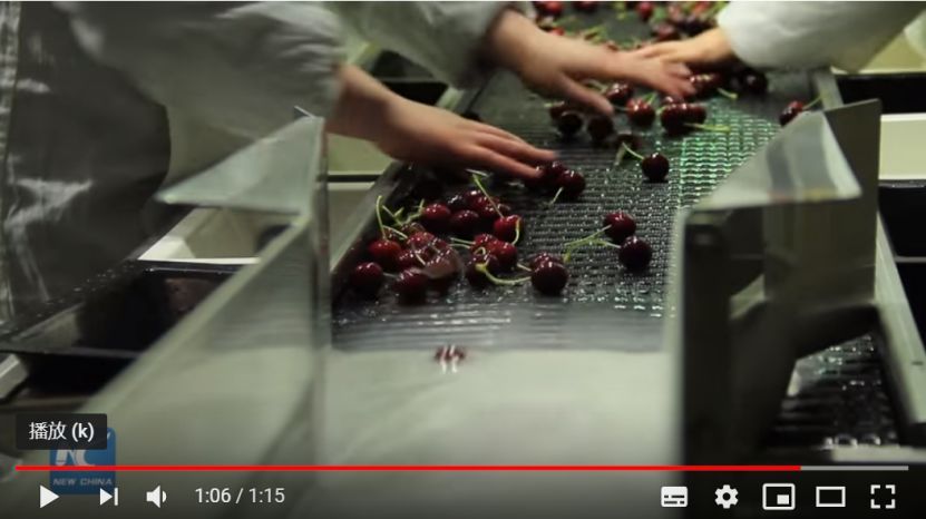 一顆賣6元，月薪上萬也吃不起車厘子？網友哭窮，這個小國卻笑著數(shù)錢