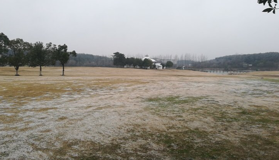 受極端天氣影響 ，黃陂部分景區(qū)暫時封園