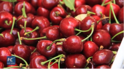 月薪上萬吃不起車?yán)遄?網(wǎng)友哭窮 這個國家笑著數(shù)錢