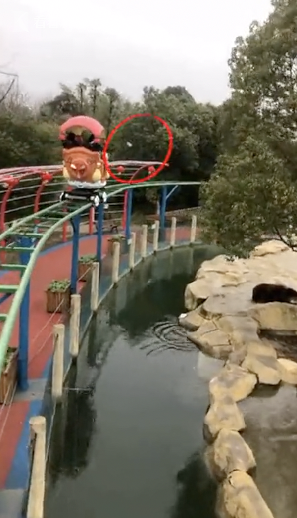 最貴投喂！游客誤將iPhone當(dāng)蘋果投喂棕熊，熊沒(méi)吃